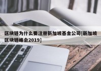 区块链为什么要注册新加坡基金公司[新加坡区块链峰会2019]