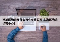 杨浦区块链开发公司有哪些公司[上海区块链运营中心]