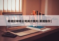 希捷区块链公司简介图片[希捷股份]